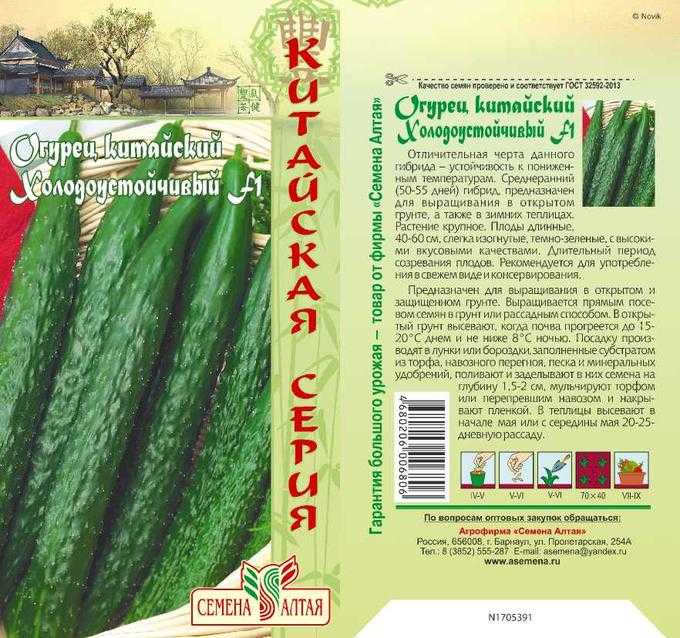 Огурцы для открытого грунта: обзор лучших сортов и гибридо