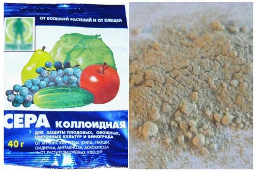 Коллоидная сера нюансы эффективного использования