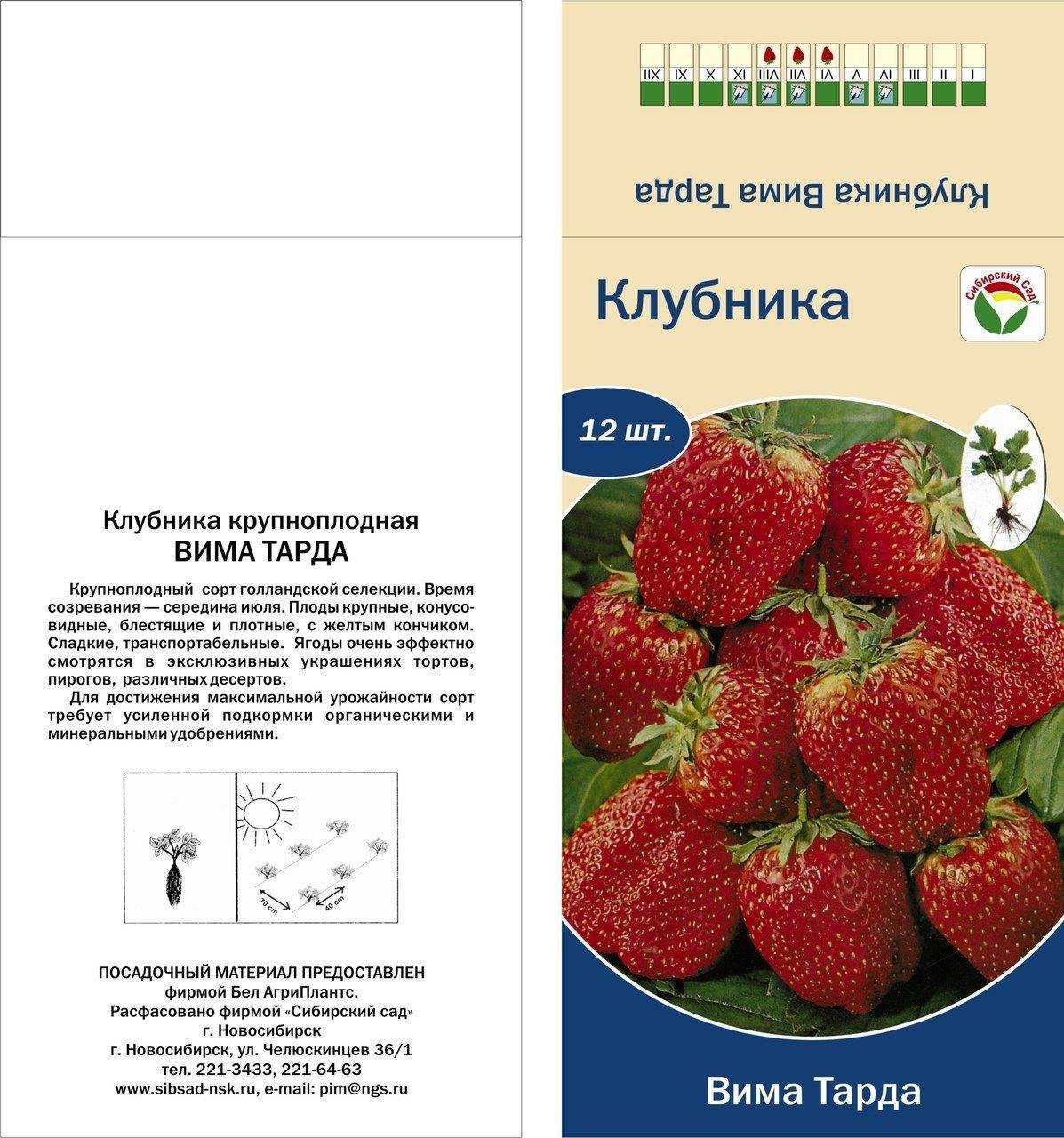 Клубника сорт вима тарда - описание, посадка, уход, отзывы