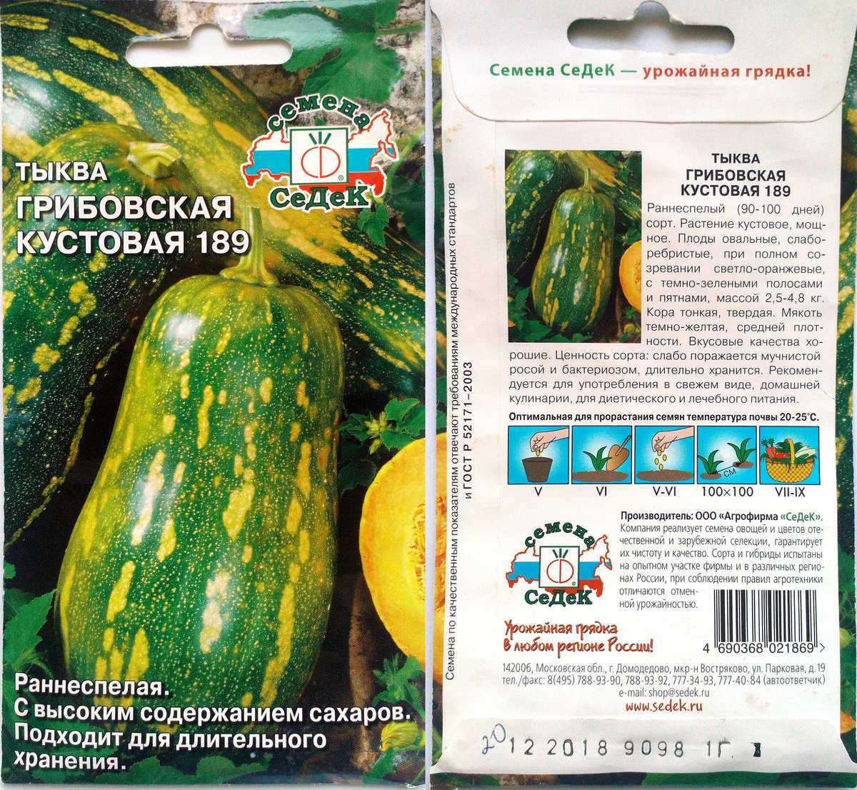 Характеристика и описание сорта тыквы Грибовская кустовая зимняя 189, преимущества и недостатки Особенности посадки, выращивания и сбора урожая Отзывы владельцев
