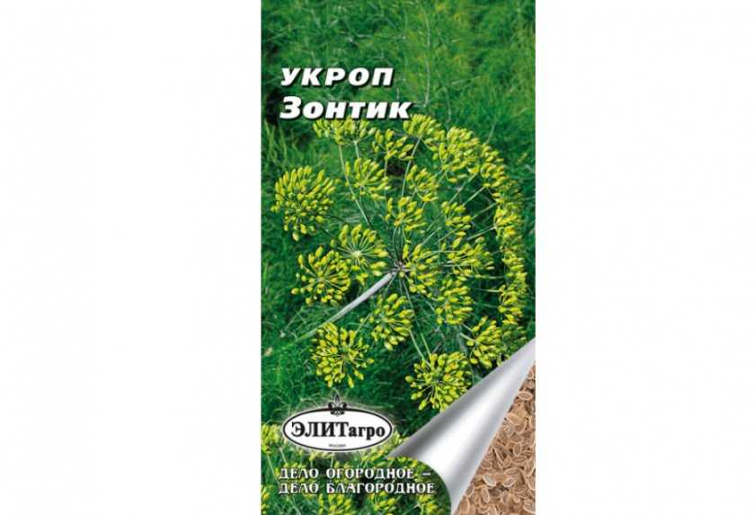 Укроп: описание сортов, посадка и уход - дачная жизнь