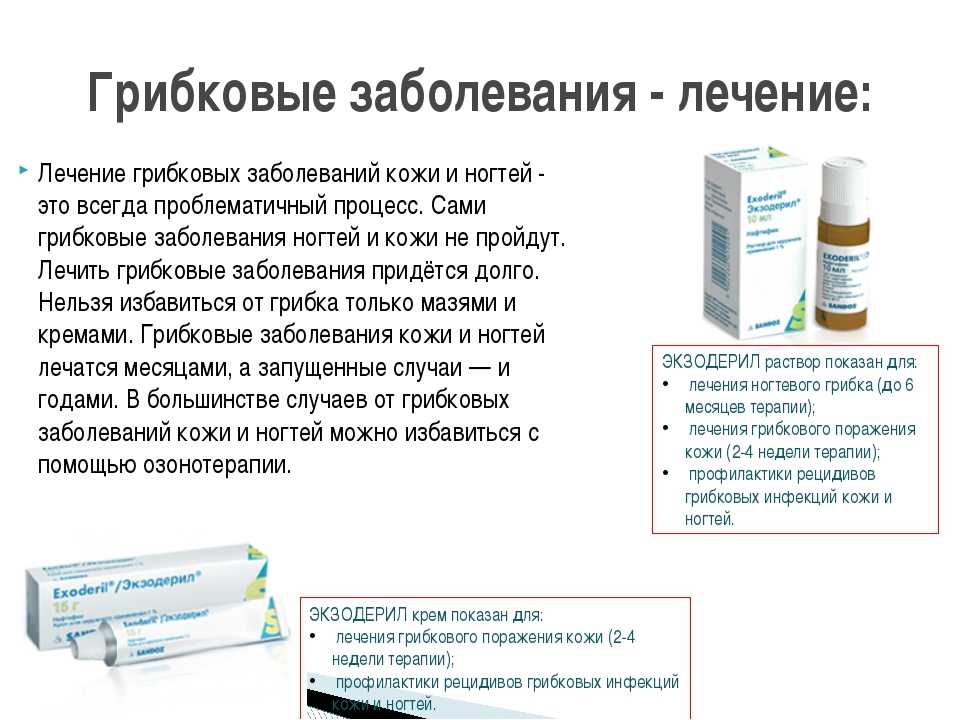 Шампиньон желтокожий - фото и описание гриба, как отличить, ядовитый или съедобный