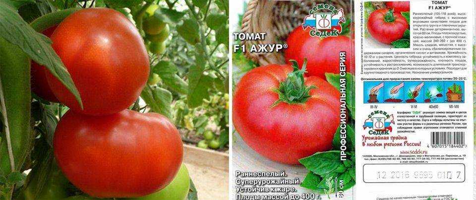 Томат ажур: описание и характеристика, отзывы, фото| tomatland.ru