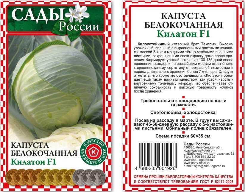 Капуста коля f1: характеристика гибрида, фото кочанов, описание урожайности сорта и отзывы о вкусовых качествах