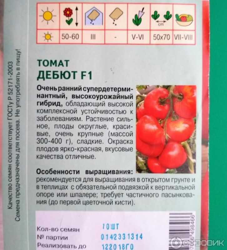 Легко и просто выращиваем томат «дюймовочка» на подоконнике или дачном участке по инструкции от опытных фермеров