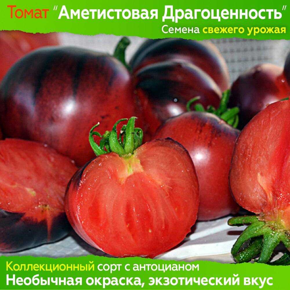 Томат аметистовая драгоценность - отзывы о сорте, описание, фото