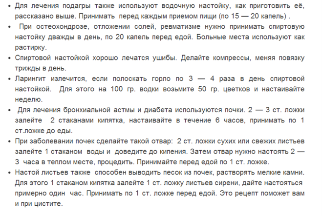 Настойка сирени: от чего помогает, как применять