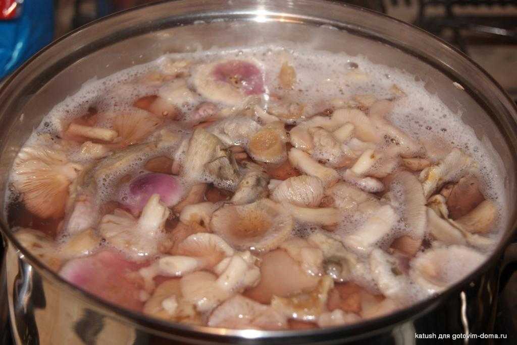 Сколько варить сыроежки: перед жаркой, заморозкой и засолкой
