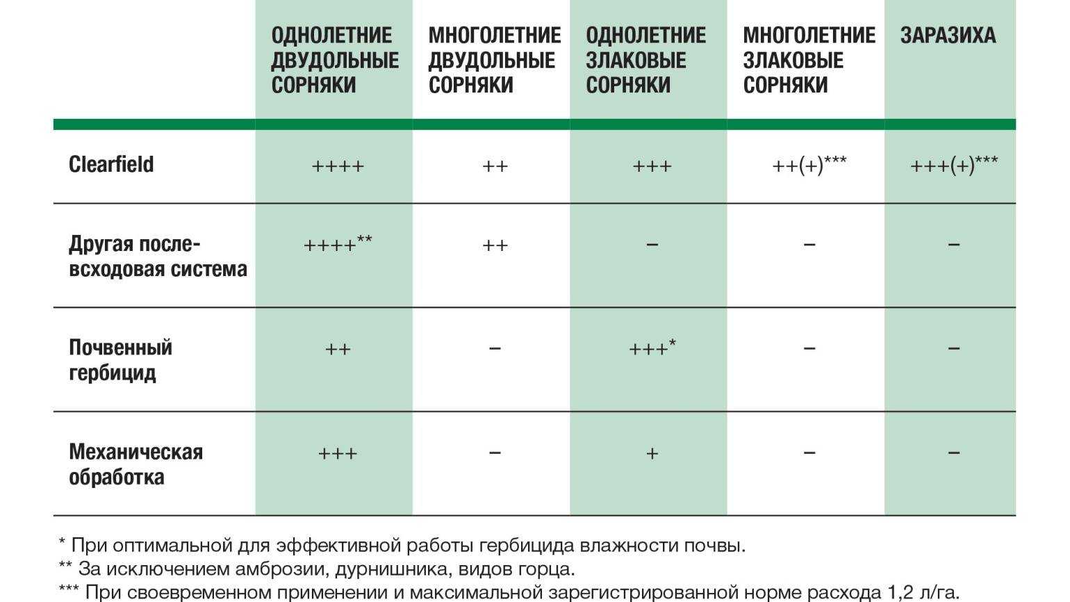 Чем лучше обработать клубнику для избавления от сорняков, описание гербицидов