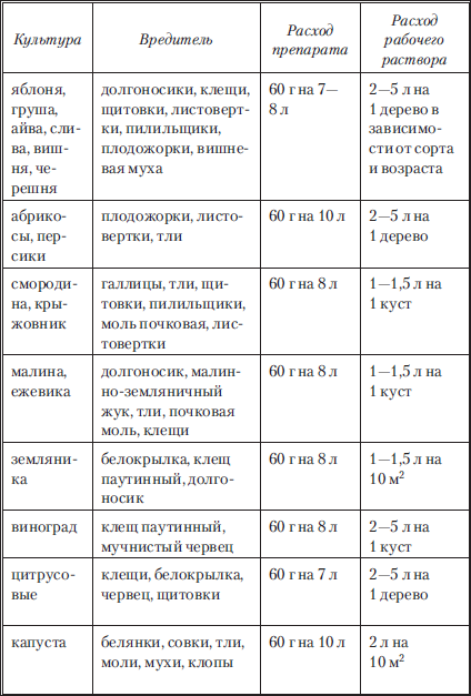 Обработка клубники осенью: эффективные препараты