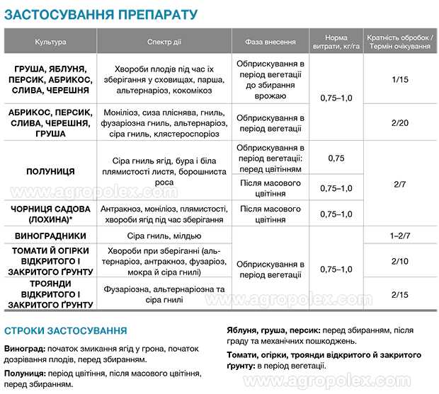 Фунгицид "свитч": инструкция по применению для растений, описание, отзывы, когда обрабатывать
