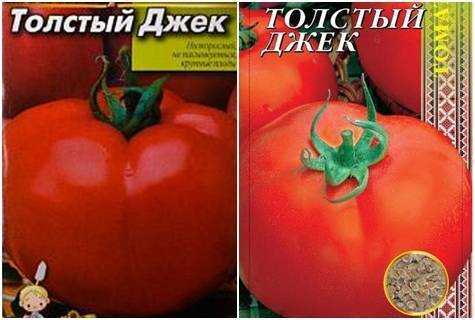 Томат толстый джек