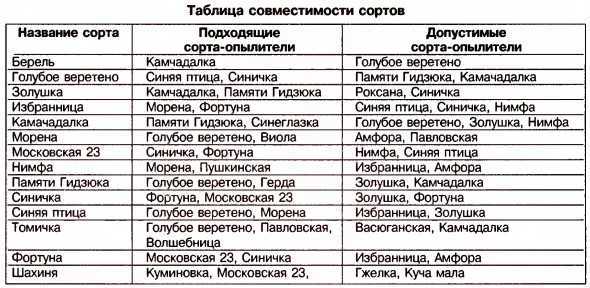 Жимолость: описание 19 популярных сортов (35 фото) +отзывы