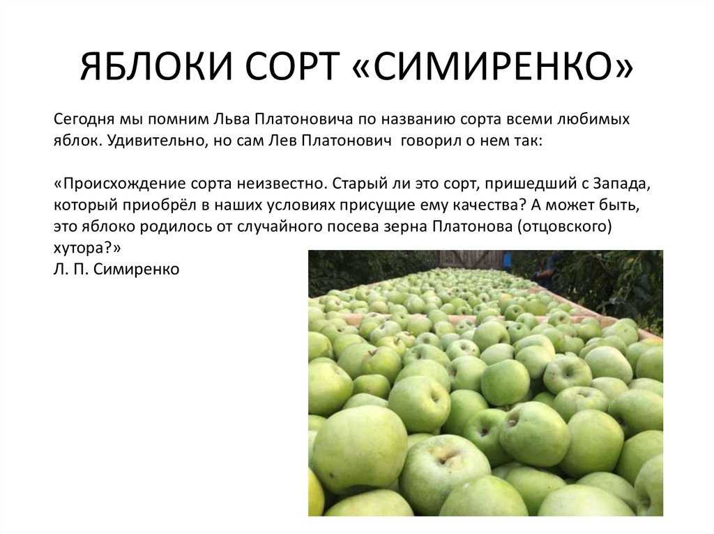 Яблоня семеренко: описание, фото, отзывы