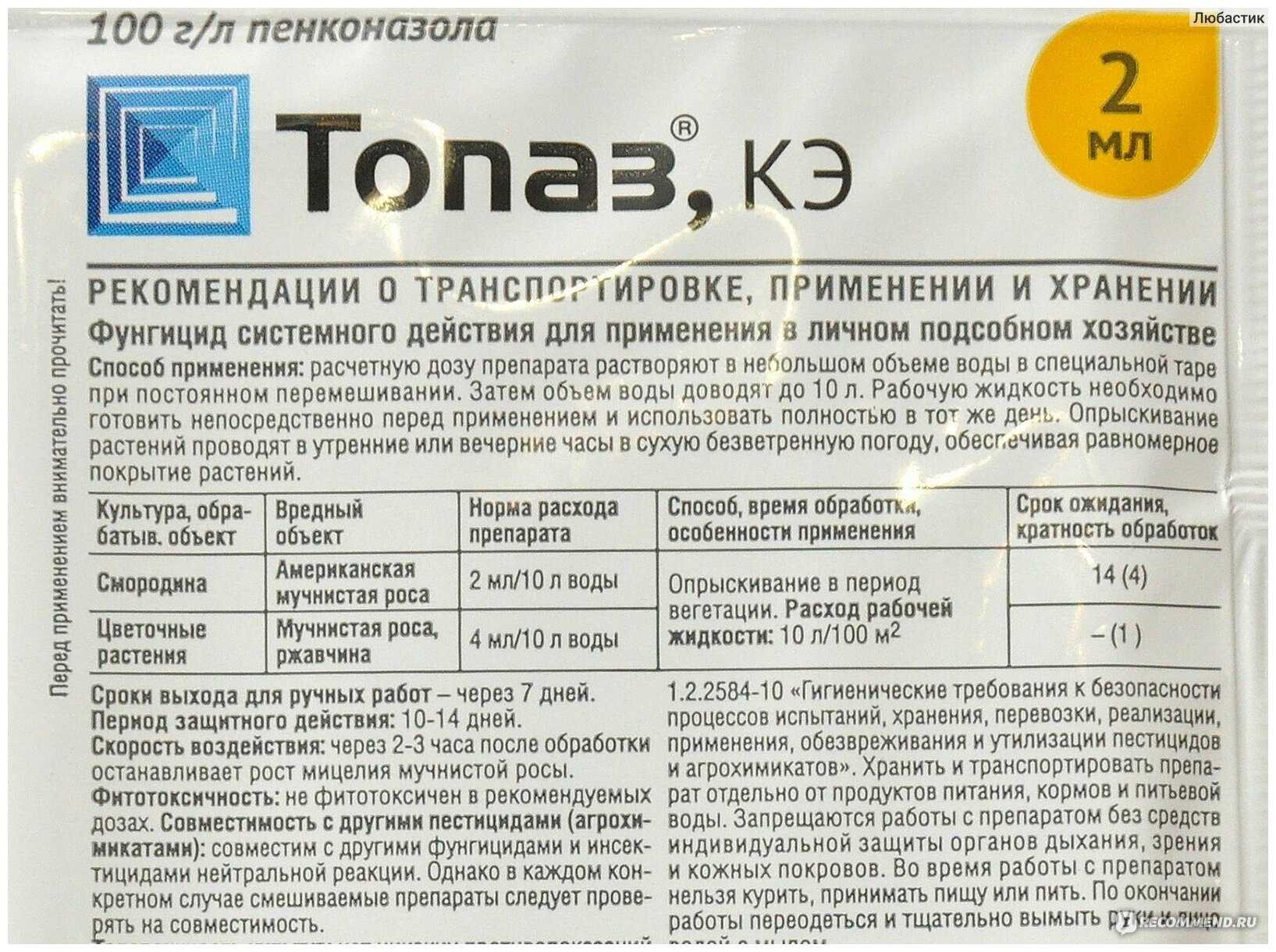 Обработка смородины весной от болезней и вредителей
