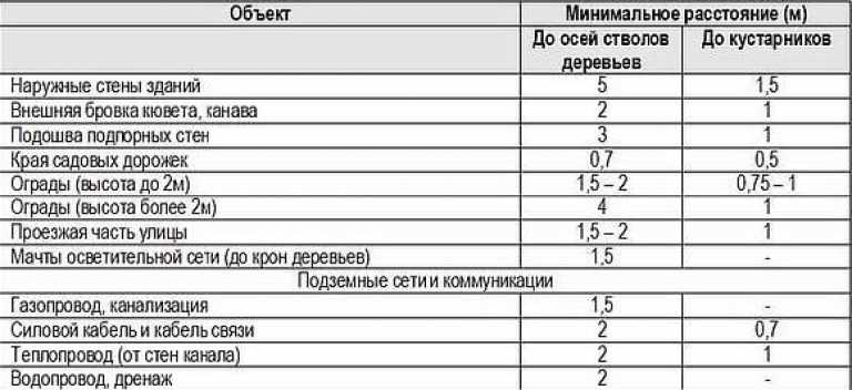 На каком расстоянии от забора можно сажать деревья: норма посадки снип и закон 2022