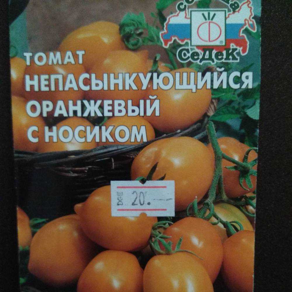 Томат первоклашка: характеристика сорта, описание, отзывы, урожайность - все о помидорках