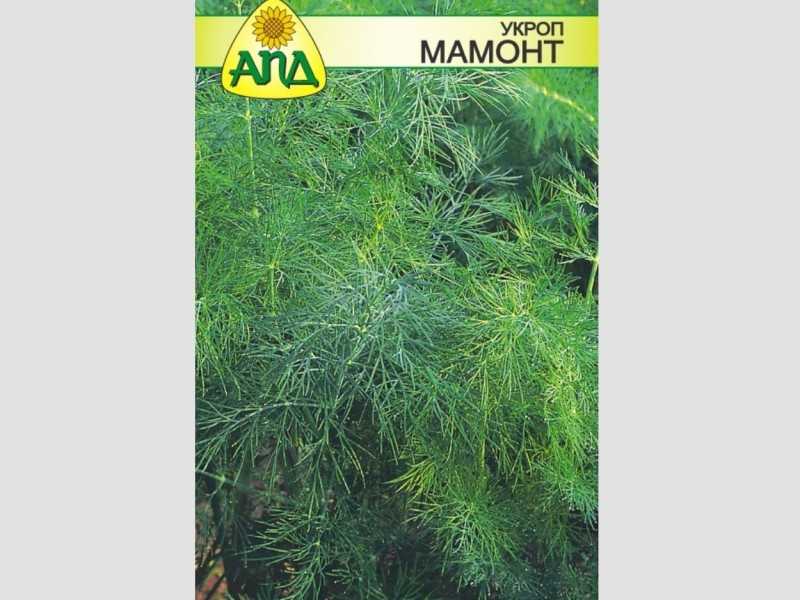 Томат мамонт – характеристика и описание сорта, фото, отзывы, урожайность, достоинства и недостатки