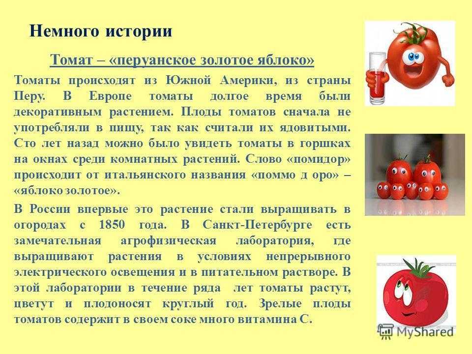 Томат леопольд f1: характеристика и описание детерминантного сорта с фото