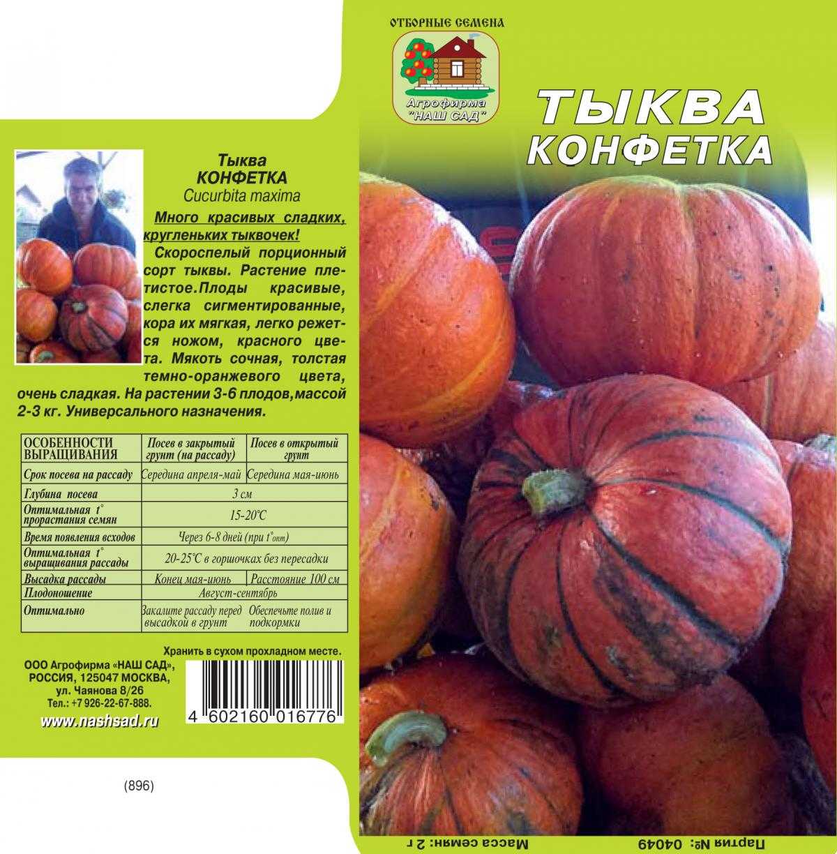 Тыква конфетка: описание и фото, отзывы огородников