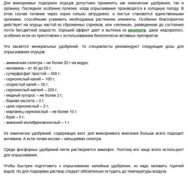 Сода для огурцов: как применять при опрыскивании и поливе правильно. 135 фото и видео советы экспертов