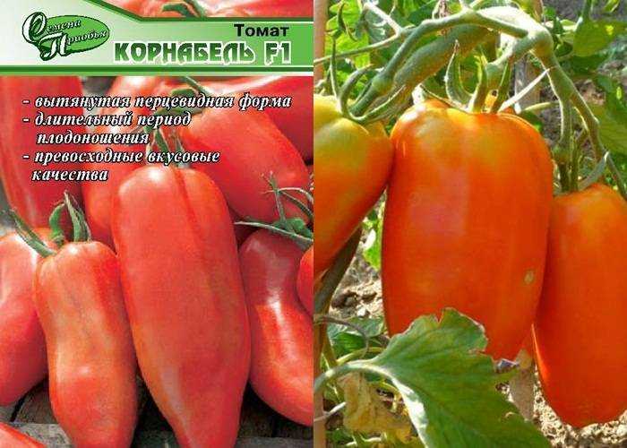 Томат корнабель: описание сорта, отзывы (97), фото
