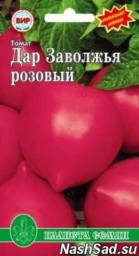 Характеристика и описание сорта томата дар заволжья