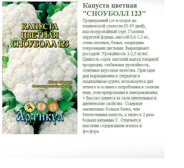 Цветная капуста сноуболл 123: отзывы, фото и описание