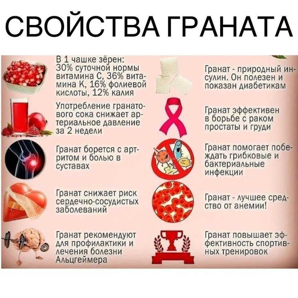 Лечебные свойства кожуры граната: показания к применению, полезные рецепты