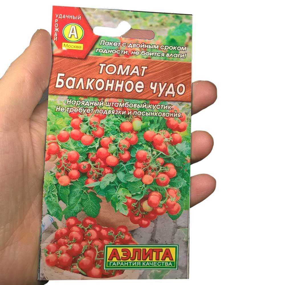 Томаты балконное чудо: описание сорта, как выращивать, отзывы. фото и видео