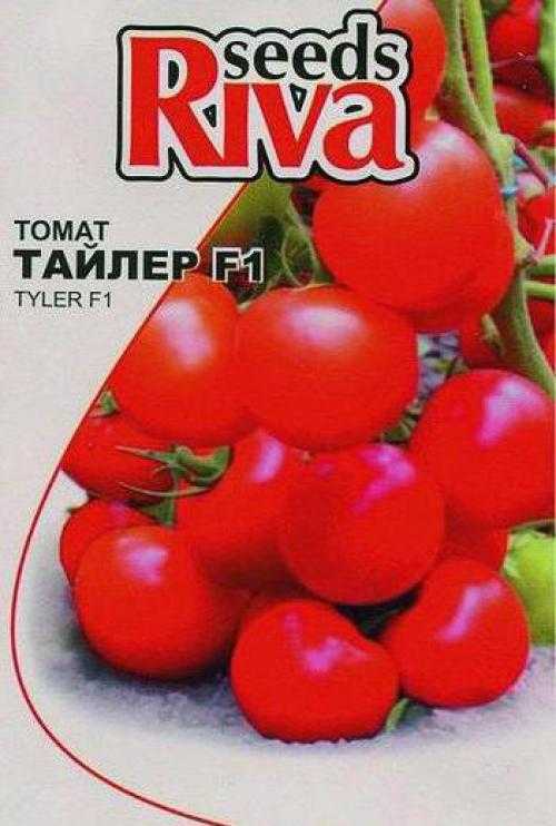 Томат катя f1: отзывы (53), фото, урожайность, описание и характеристика | tomatland.ru
