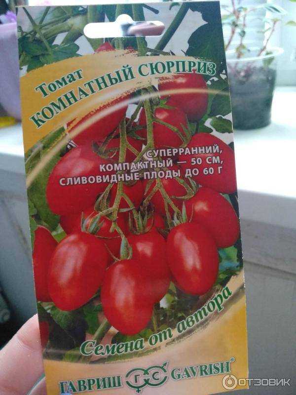 Томат «комнатный сюрприз»: описание сорта и рекомендации по выращиванию помидоры русский фермер