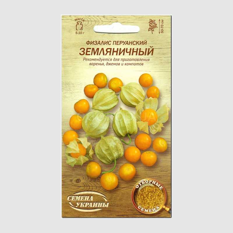 Физалис: выращивание из семян и уход в саду