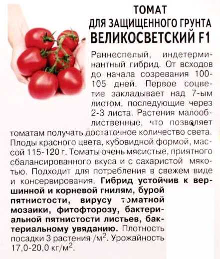 Томат «великосветский f1»: характеристика и описание сорта, фото, урожайность, посадка и уход