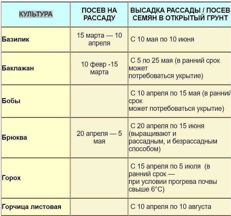 Лучшие сорта огурцов для ленинградской области в открытом грунте