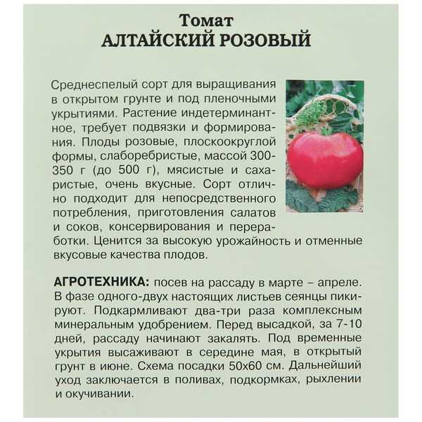 Все о томате алтайский оранжевый характеристики и описание сорта