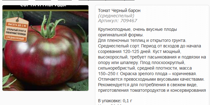 Томат черный барон: характеристика сорта и его особенности, фото, отзывы об урожайности и сложностях выращивания