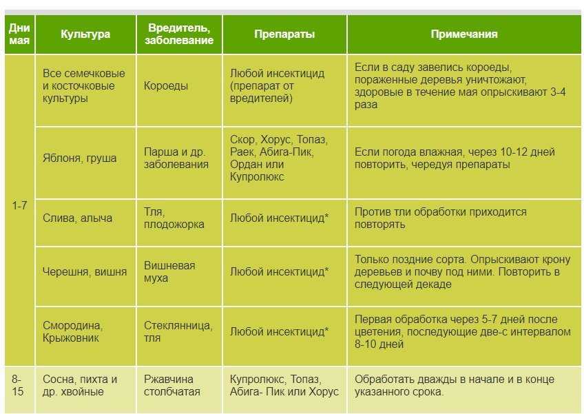 Персик посадка и уход в средней полосе. особенности выращивания персиков в средней полосе | зелёный сад