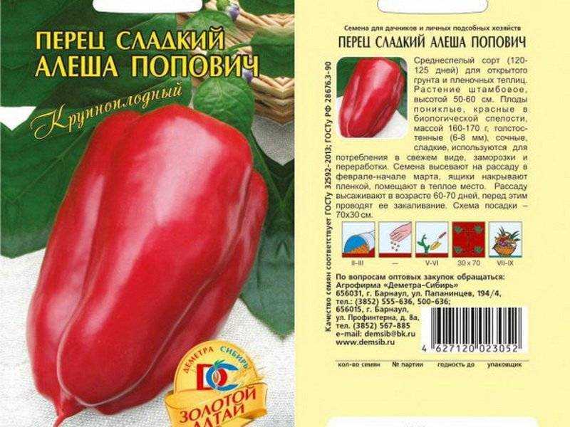 6 способов подготовки семян перца к посеву: советы профессионала
