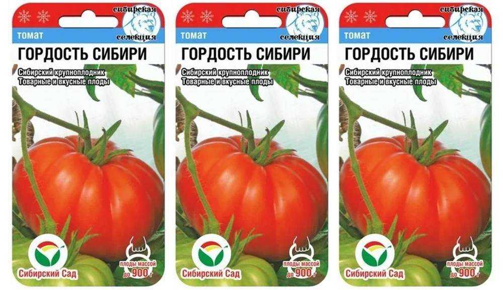 Томат гордость застолья: фото, урожайность, отзывы, характеристика и описание сорта