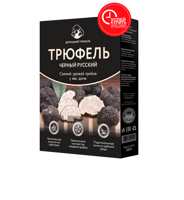 Интересные факты о трюфелях
