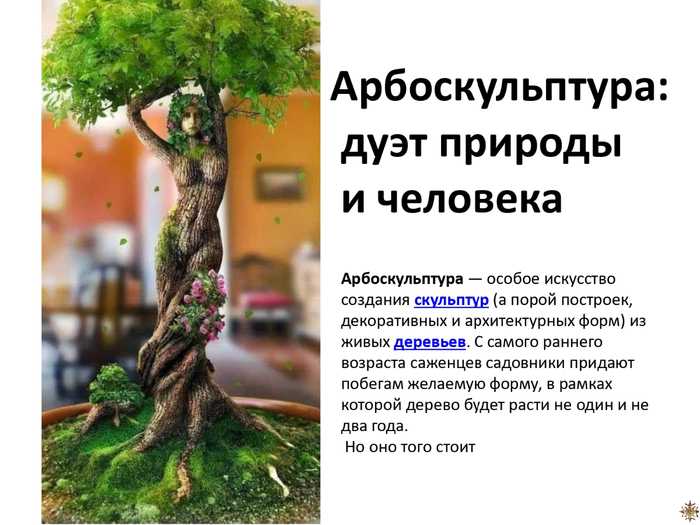12 самых красивых зимостойких кустарников для вашего сада