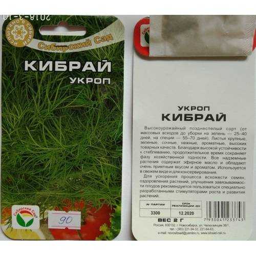 Укроп кибрай: характеристика и описание сорта с фото, отзывы, рассада кассета е6