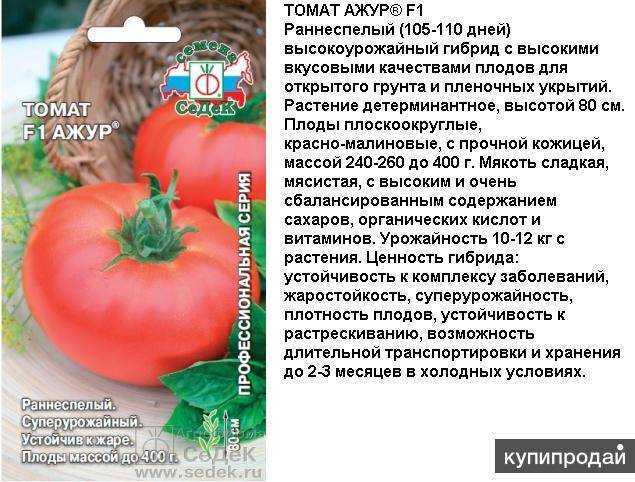 Томат ажур - характеристика и описание сорта, фото, урожайность, достоинства и недостатки, отзывы | сортовед