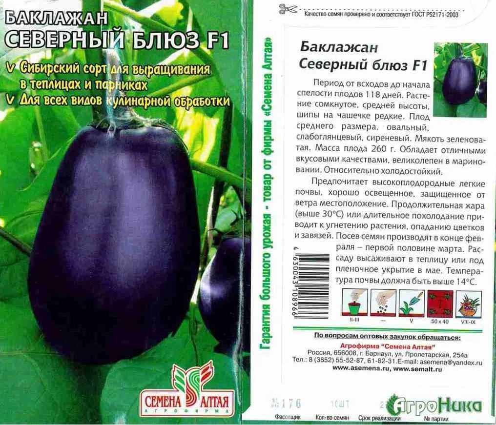 Лучшие сорта баклажанов для открытого грунта