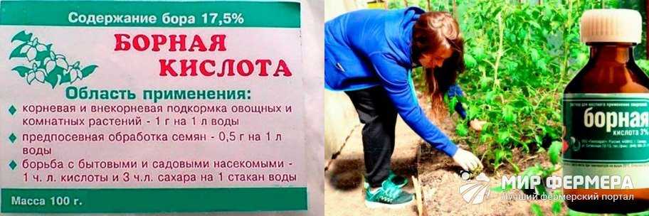 Борная кислота в саду и огороде: применение для растений, таблица, как развести, как опрыскивать