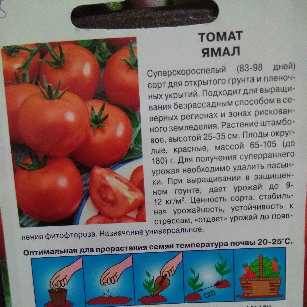 Томат спецназ: характеристика и описание сорта, отзывы, фото