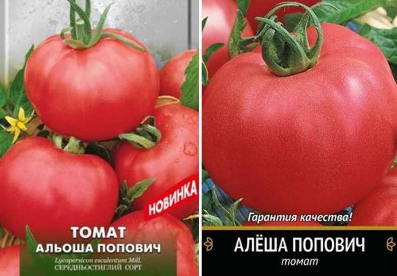Томат алеша попович: характеристика и описание сорта