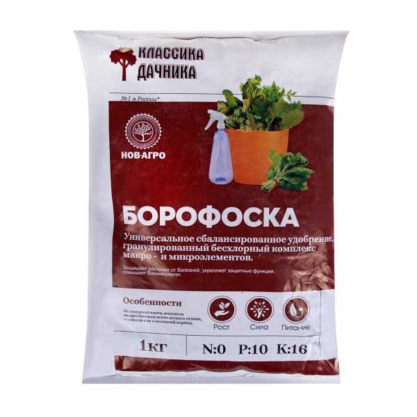 Борофоска: как применять подкормку, инструкция, как разводить