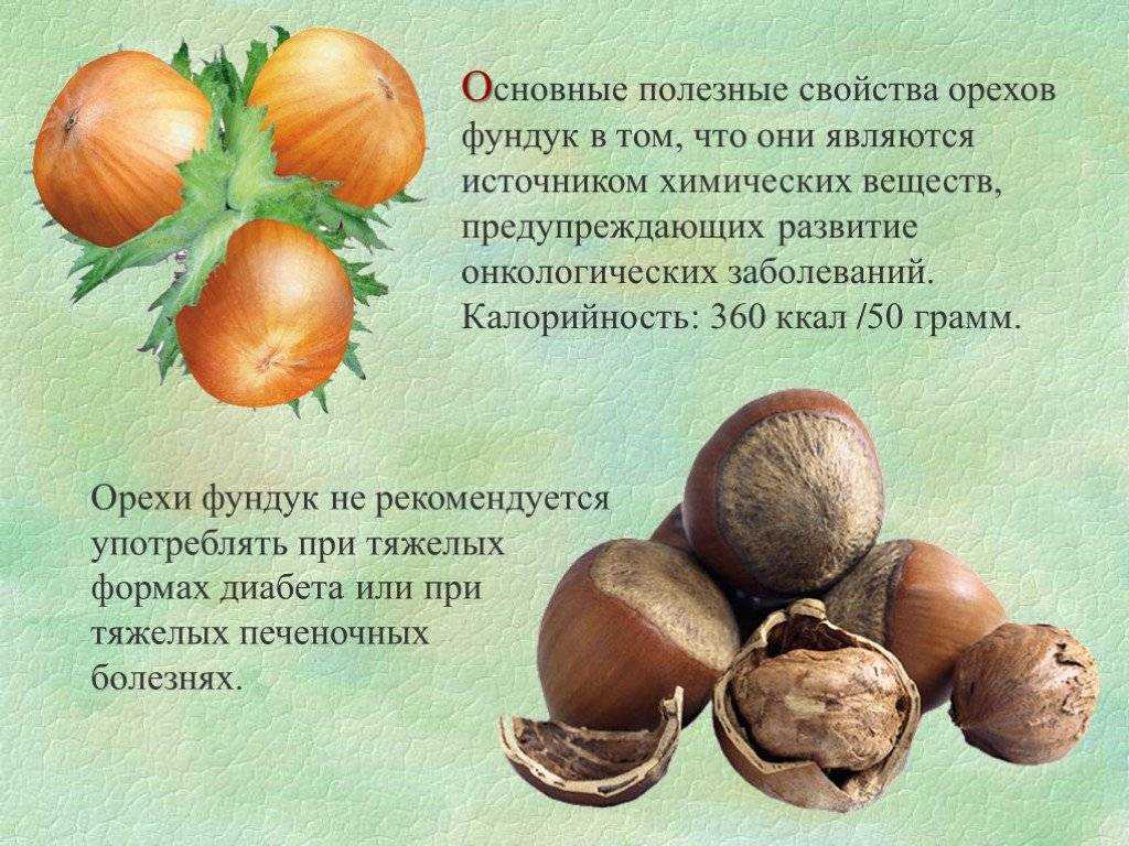 Миндаль: польза для здоровья и противопоказания
